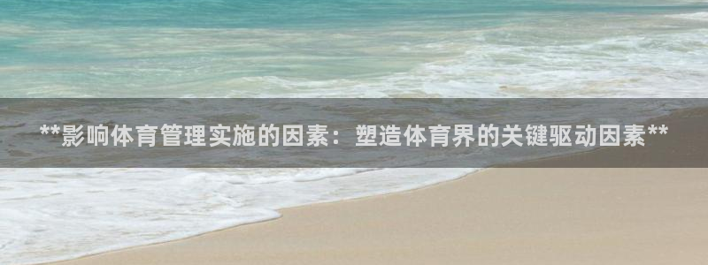 必一体育app官方网站：**影响体育管理实施的因素：塑造体育